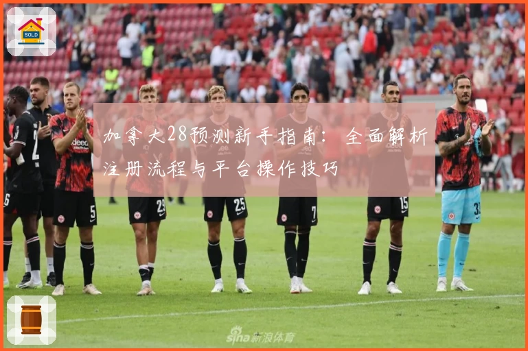 加拿大28预测新手指南:全面解析注册流程与平台操作技巧