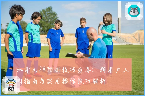 加拿大28预测技巧分享：新用户入门指南与实用操作技巧解析