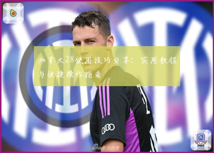 加拿大28使用技巧分享:实用教程与快捷操作指南