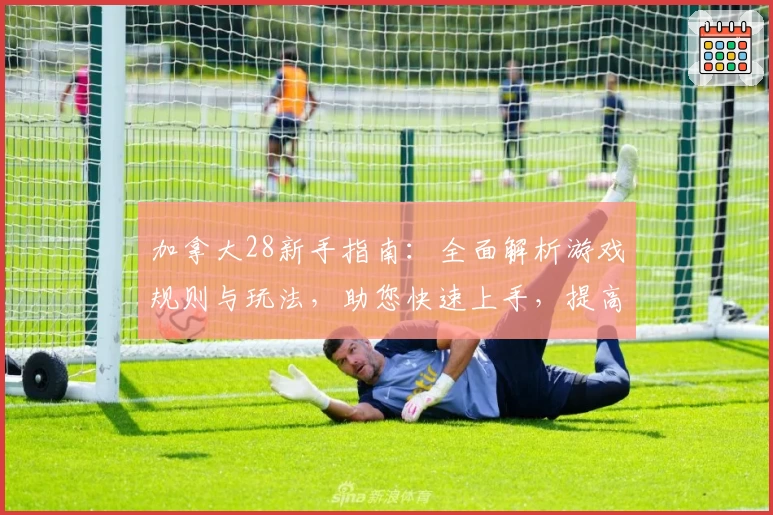 加拿大28新手指南：全面解析游戏规则与玩法，助您快速上手，提高娱乐体验