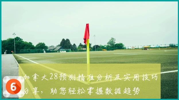 加拿大28预测精准分析及实用技巧分享，助您轻松掌握数据趋势