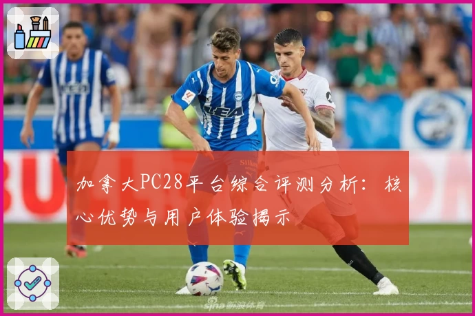 加拿大PC28平台综合评测分析:核心优势与用户体验揭示