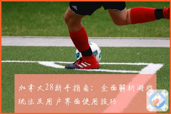 加拿大28新手指南：全面解析游戏玩法及用户界面使用技巧