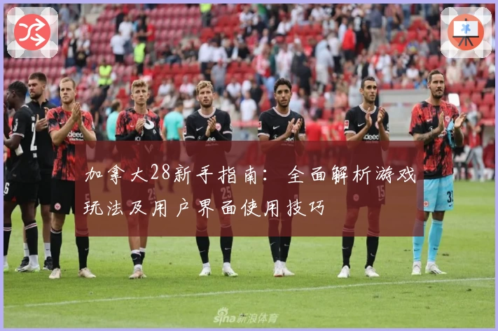 加拿大28新手指南：全面解析游戏玩法及用户界面使用技巧