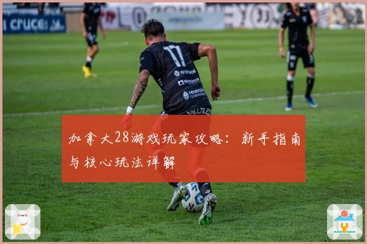 加拿大28游戏玩家攻略：新手指南与核心玩法详解