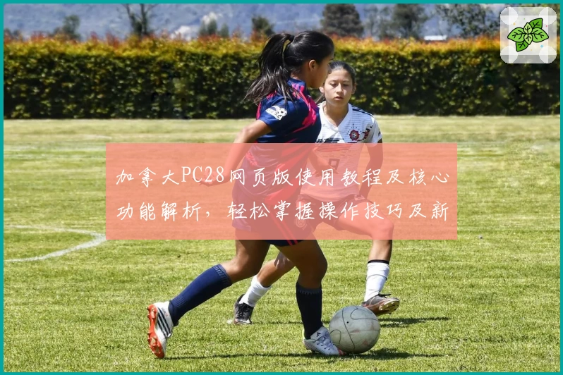 加拿大PC28网页版使用教程及核心功能解析，轻松掌握操作技巧及新手指南