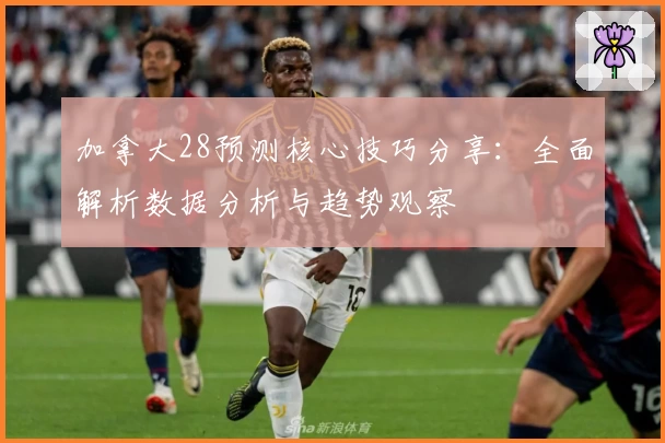 加拿大28预测核心技巧分享：全面解析数据分析与趋势观察