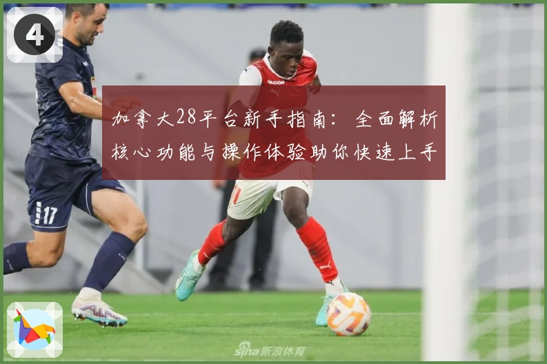 加拿大28平台新手指南：全面解析核心功能与操作体验助你快速上手