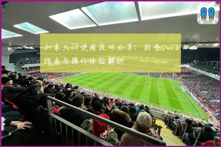 加拿大28使用技巧分享：新手入门指南与操作体验解析