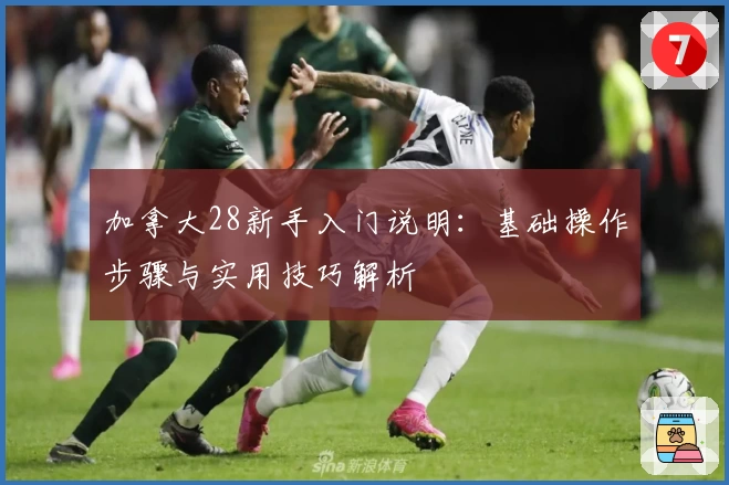 加拿大28新手入门说明：基础操作步骤与实用技巧解析