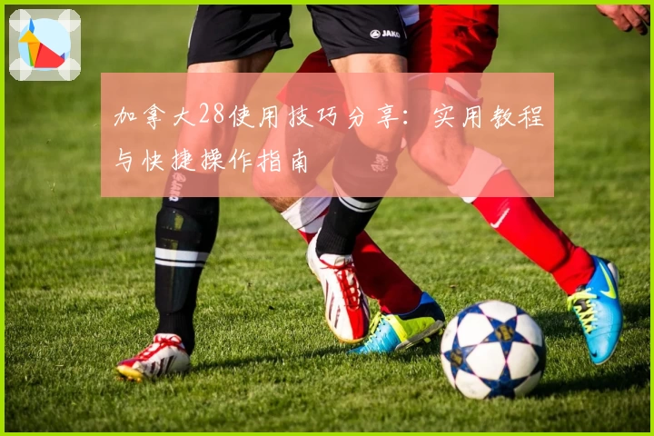 加拿大28使用技巧分享：实用教程与快捷操作指南