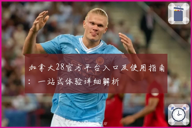 加拿大28官方平台入口及使用指南：一站式体验详细解析