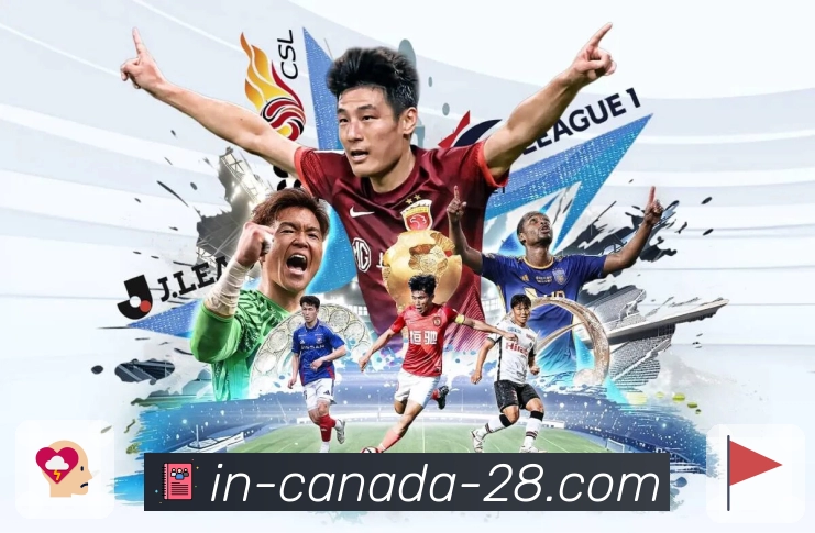 掌中加拿大28APP,轻松应对多样需求